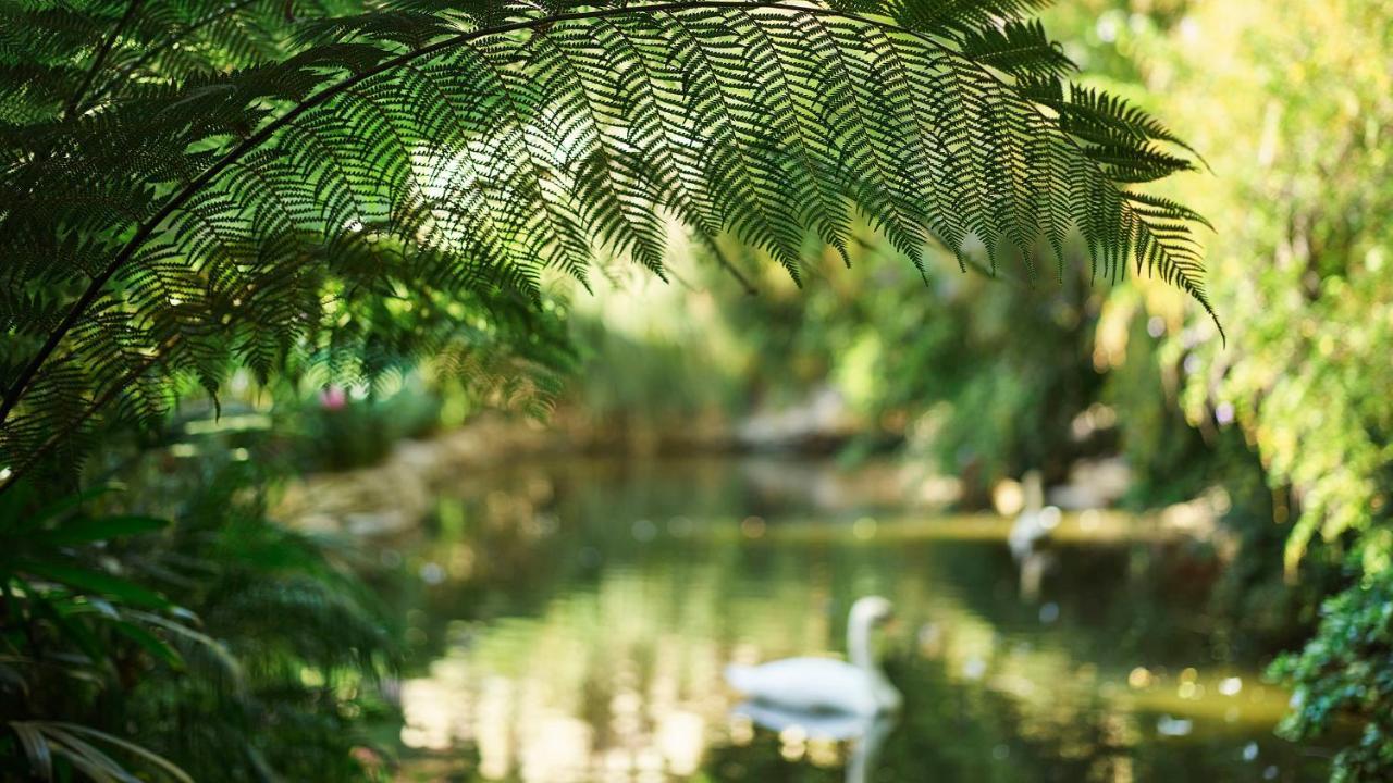 Bel-air - Dorchester Collection Hotel