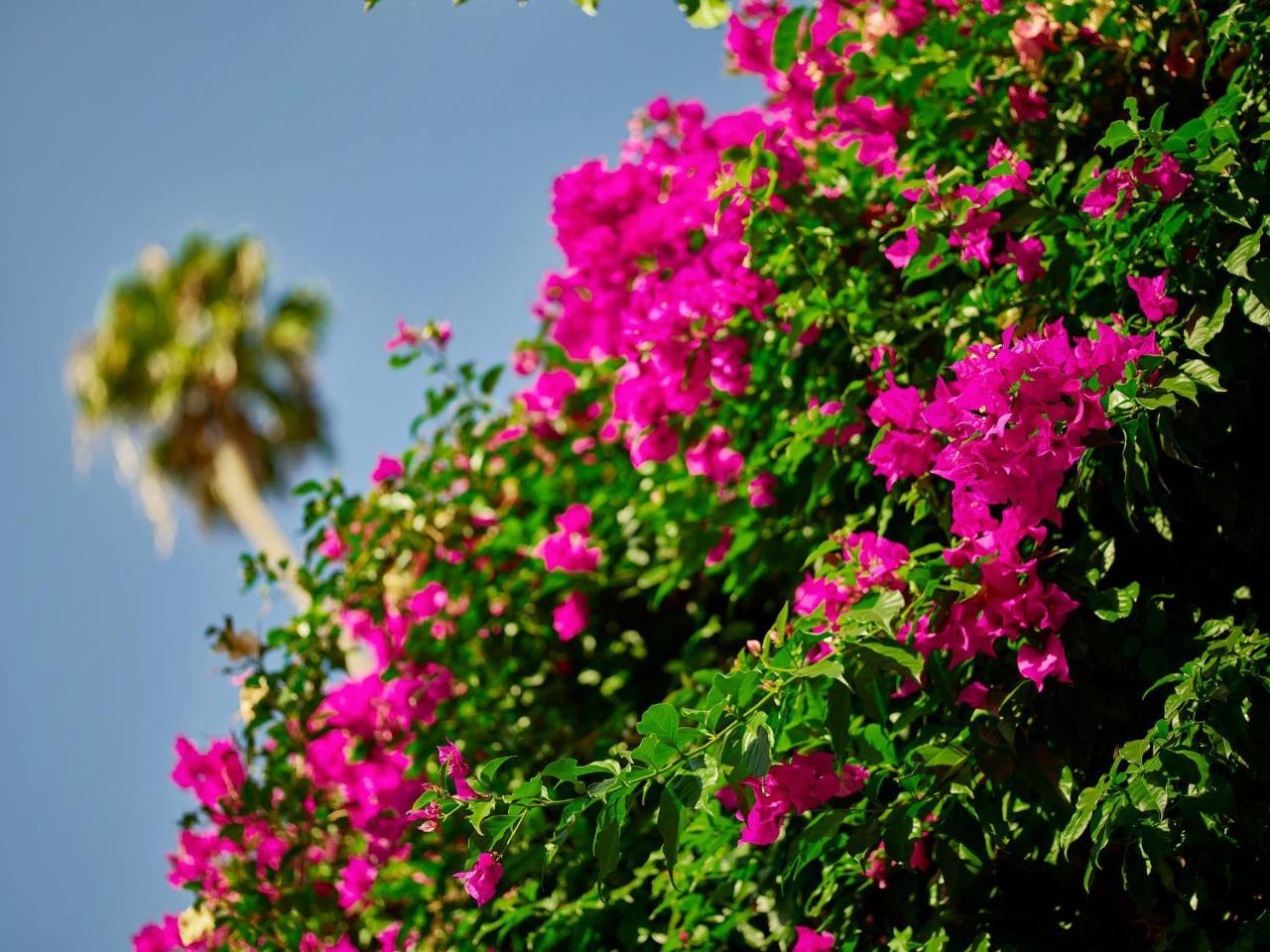 Hotel Bel-air - Dorchester Collection 5*